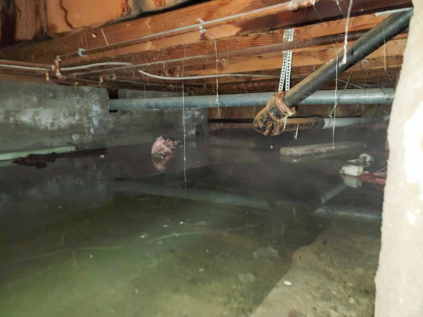 Best Residential water damage restoration  in Crestwood, MO