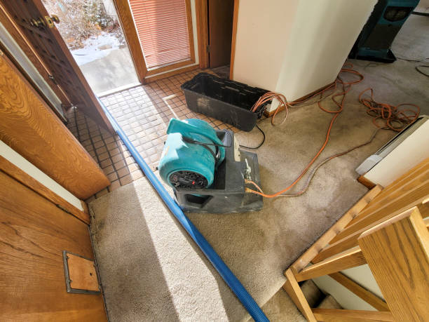 Best Water damage cleanup near me  in Crestwood, MO