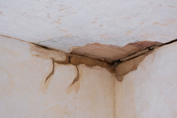 Best Water damage restoration near me  in Crestwood, MO