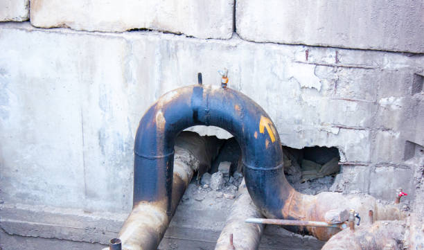 Best Flood damage cleanup  in Crestwood, MO