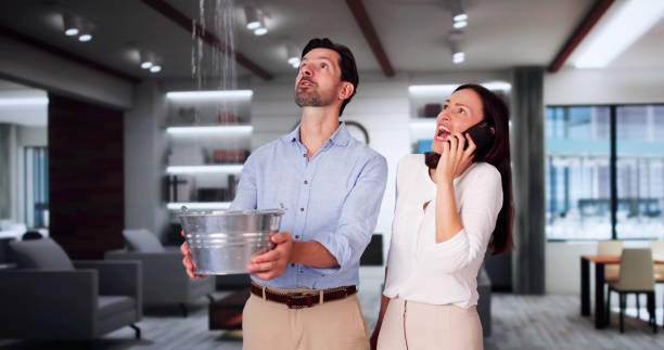 Best Ceiling water damage repair  in Crestwood, MO